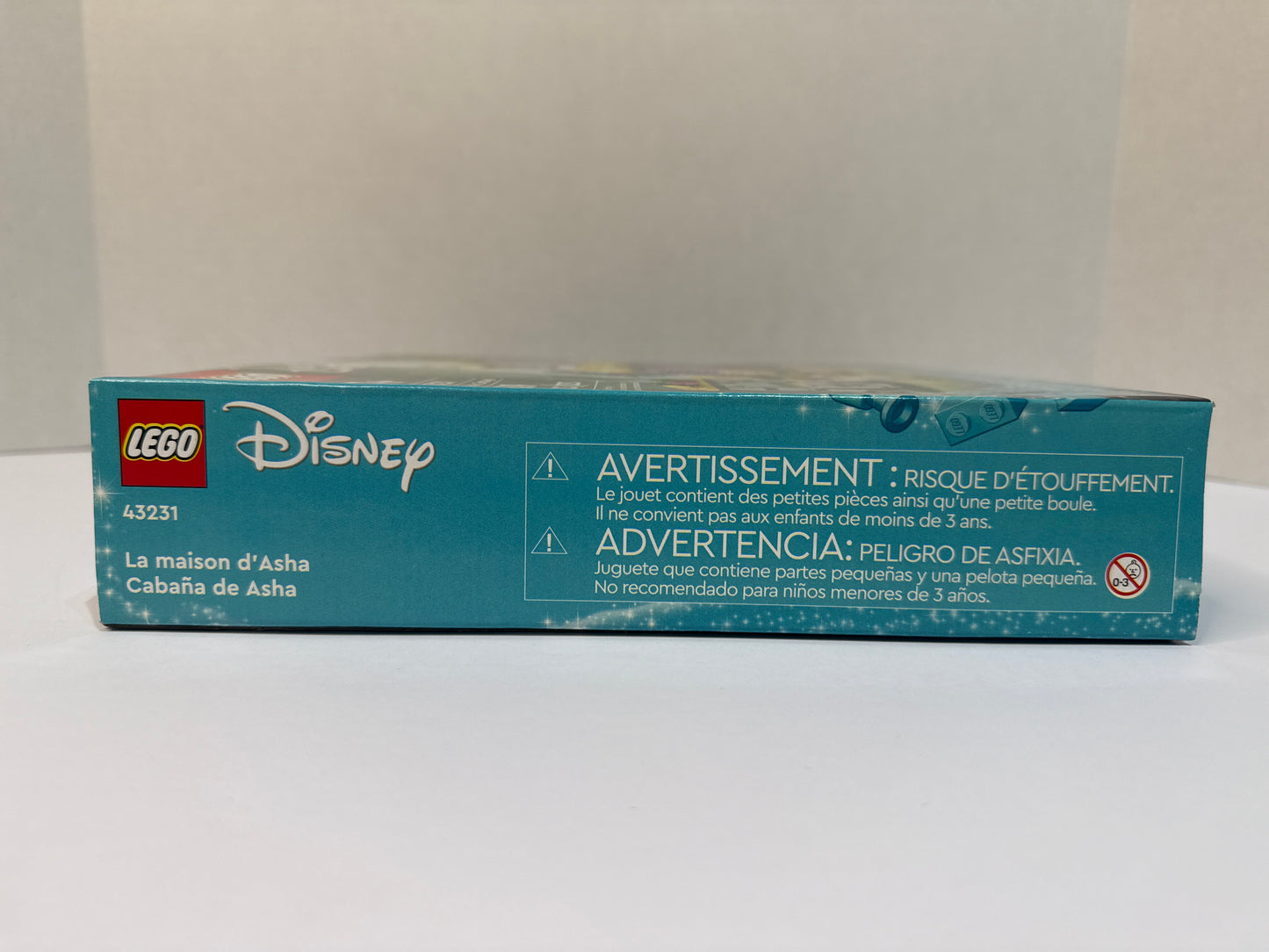 43231 Asha’s Cottage (2023)